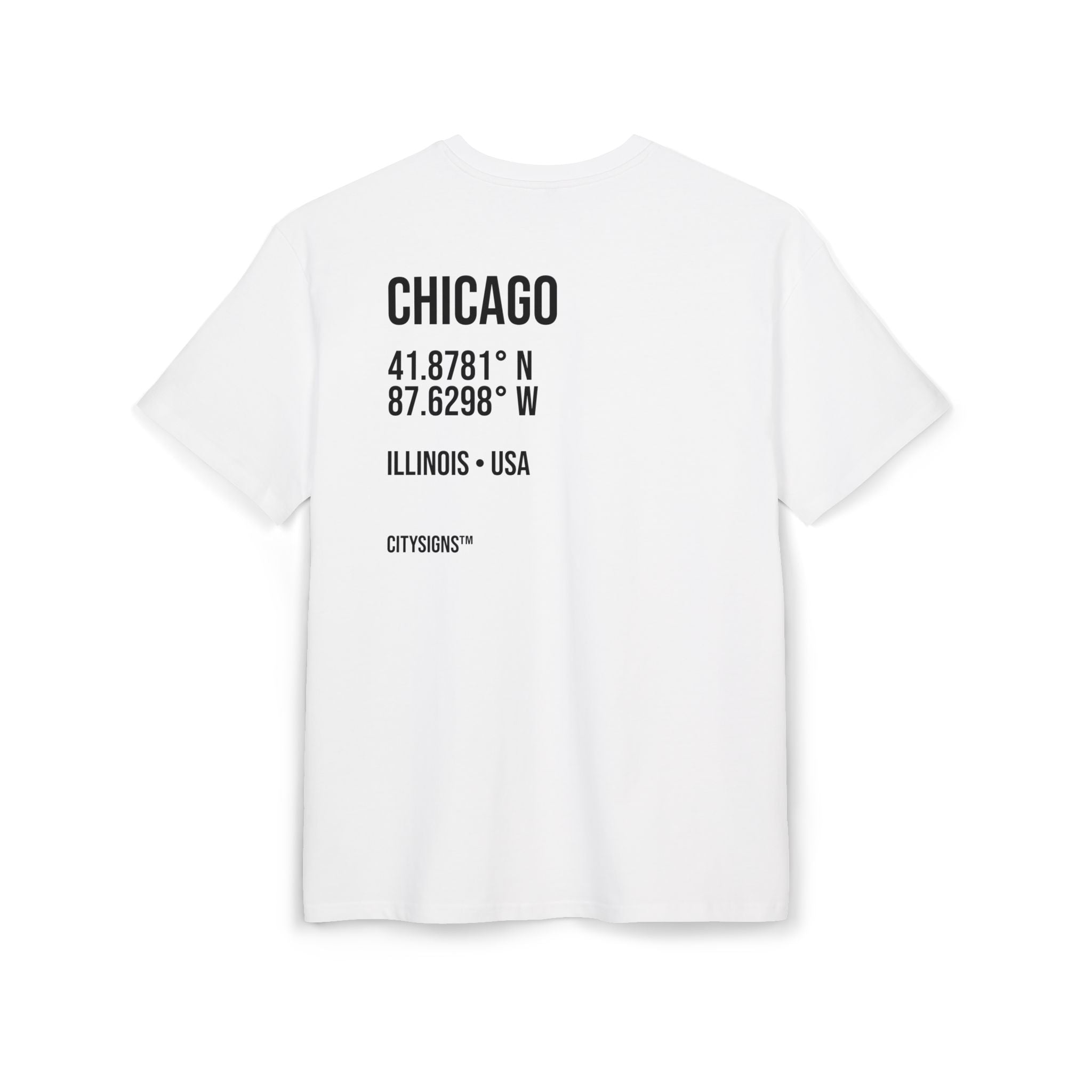 Chicago Coordinates Tee — White